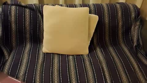 Andy online show from February 22, 3:52 am