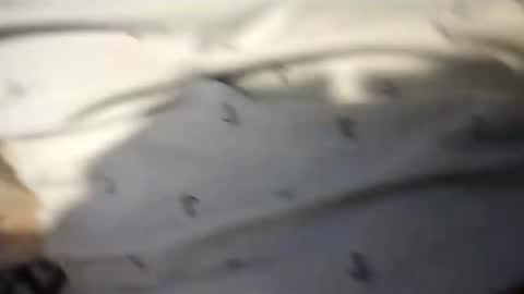 SpicyMynx Feet online show from February 3, 9:08 am