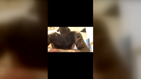 splay2520 online show from February 15, 2:29 am