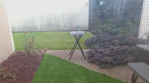 srtxshow online show from October 21, 2:09 pm