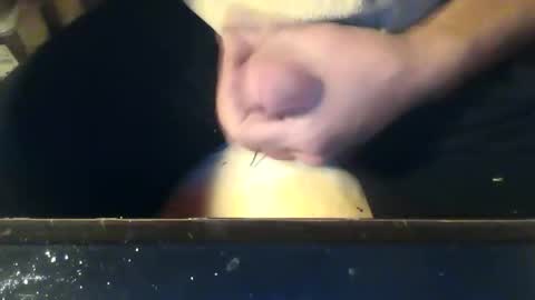 CIPPALIPPA online show from November 17, 5:16 pm