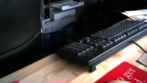 stasw20 online show from November 5, 7:32 am