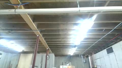 steved6001 online show from November 26, 5:49 pm