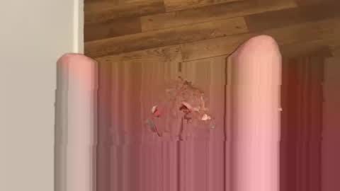 strokingdaily11 online show from January 8, 7:03 pm