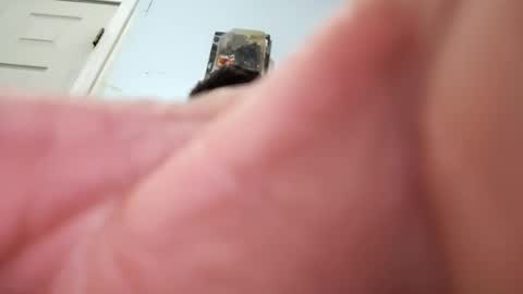 Sugarbearthornwood74 online show from December 8, 10:30 am