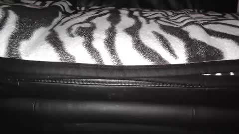 s online show from December 24, 9:11 pm