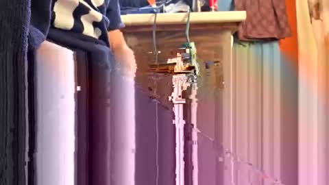 swinginghammer1987 online show from April 11, 9:40 pm