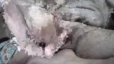 tacozod online show from December 28, 7:11 pm