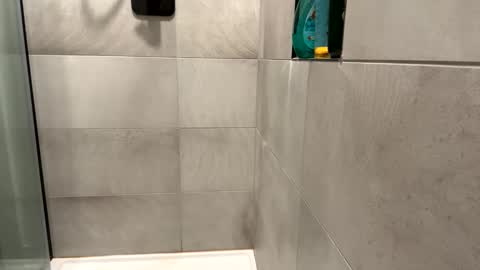 tattedshowerz online show from December 17, 10:12 am