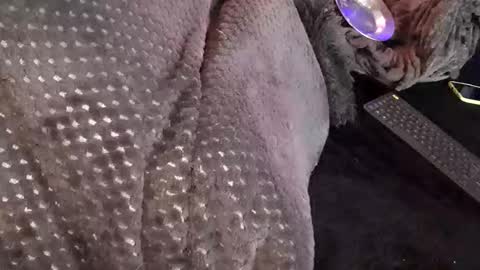 Jean pool online show from December 17, 3:47 am