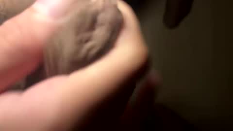 Snapshot of tel7362710 chatting on September 21, 1:33 pm masturbation Intern online show from September 21, 1:33 pm