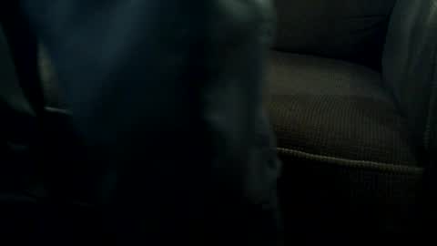 teltonko online show from January 10, 6:34 pm