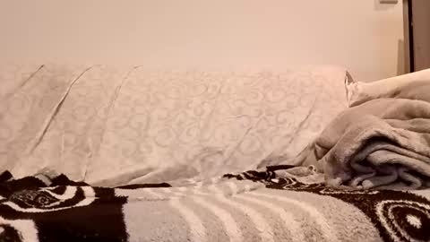 tesqou1978 online show from February 6, 10:17 pm