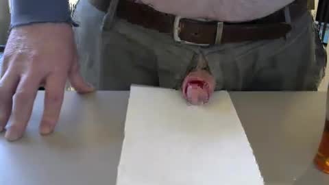 Test the Chat online show from December 22, 7:31 pm