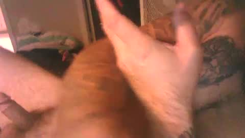 thatdadbod89 online show from October 11, 3:38 pm