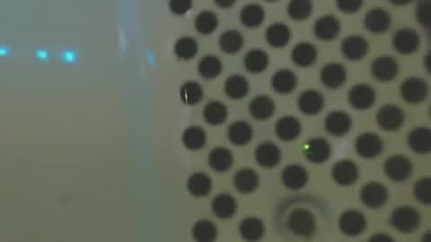 The1BBC online show from December 10, 7:58 am