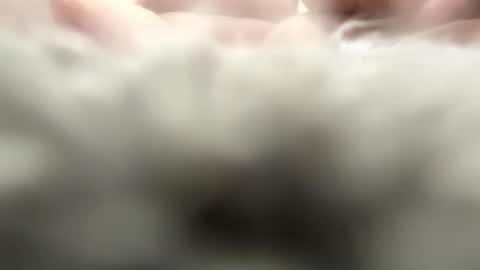 thelengh69 online show from April 26, 1:19 pm