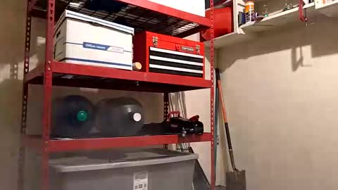 thickbigdick789 online show from October 8, 8:51 am