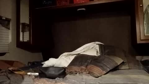 thongstud1986 online show from January 8, 9:03 am