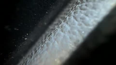 Tj online show from November 24, 7:37 pm