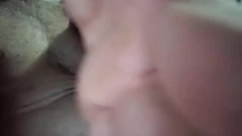 Snapshot of tlcdad chatting on January 13, 3:01 am tlcdad online show from January 13, 3:01 am