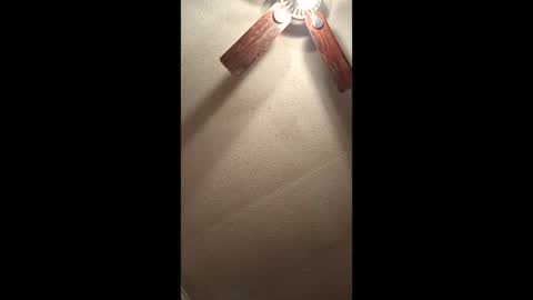 Vols online show from February 3, 12:54 pm