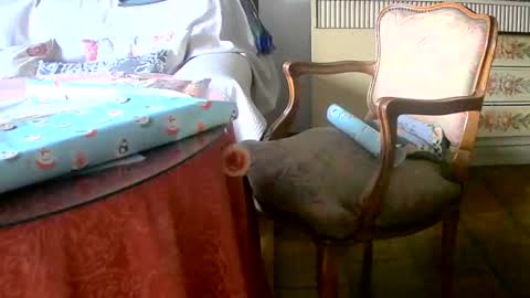 Tobiko online show from December 14, 4:31 pm