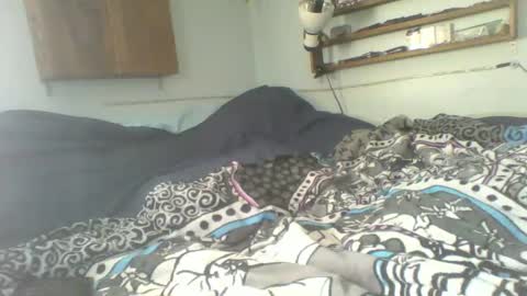 toddhaven4u online show from November 1, 7:40 pm