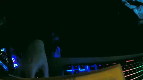 tolon408472 online show from February 18, 12:28 pm