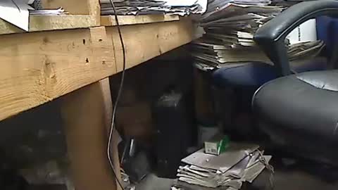 tony2700targa online show from October 23, 2:42 pm