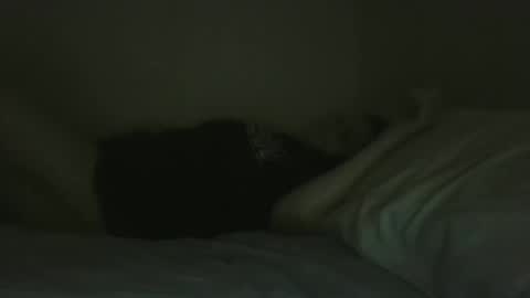 trent_5296 online show from November 23, 7:58 pm