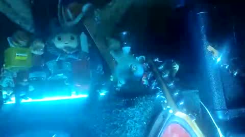 twe4kseeker online show from October 20, 4:16 am