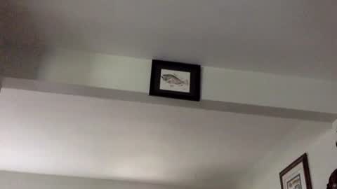 Tyler Durden online show from February 8, 6:12 pm