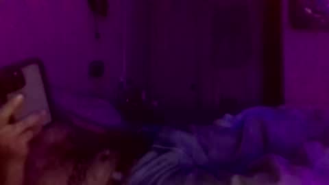 Snapshot of urdaddy875867 chatting on February 23, 9:25 pm urdaddy875867 online show from February 23, 9:25 pm