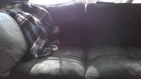 uzithebbc online show from January 8, 5:59 pm