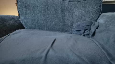 videscent online show from February 3, 5:56 pm