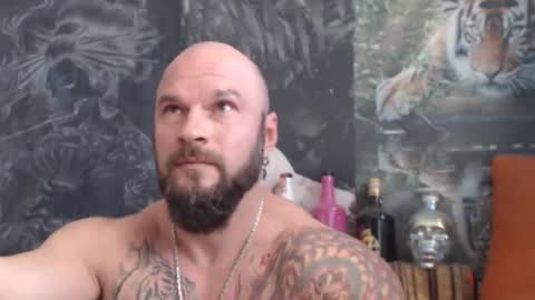 viking online show from October 28, 11:12 am