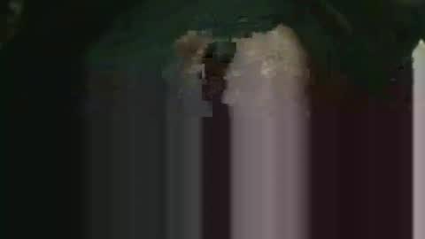 vincili online show from January 18, 1:24 pm