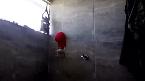 VIPFLEX1 online show from February 15, 3:09 pm