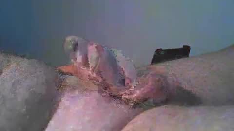 vukavuka99 online show from December 29, 3:24 pm