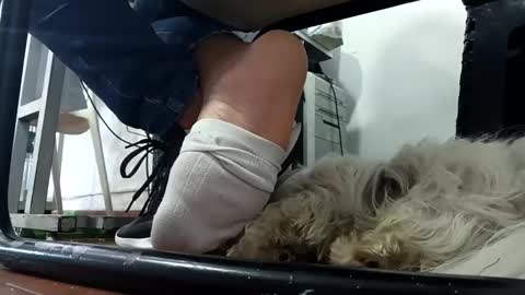 Snapshot of waltherfeet_ chatting on January 16, 8:25 pm WaltherFeet online show from January 16, 8:25 pm