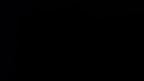 wellingtont online show from September 28, 2:20 am