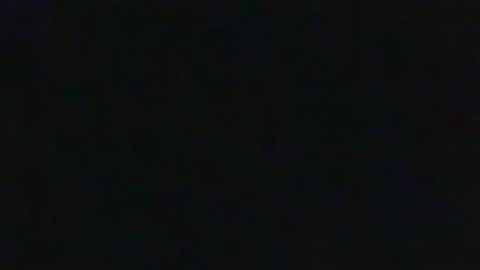 whitehead_lion online show from September 17, 5:25 pm