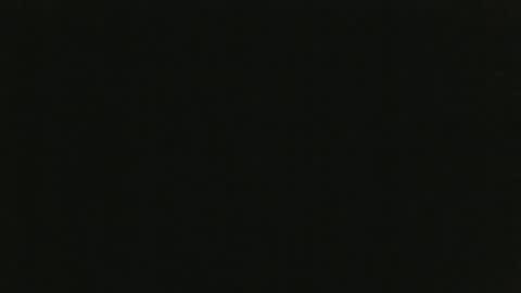 whitehead_lion online show from January 18, 1:18 am