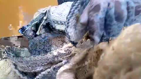 whitesweater online show from March 23, 6:30 am