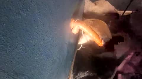 Bbc muncher online show from January 12, 12:03 am