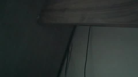 wildbrdick online show from April 16, 2:11 am