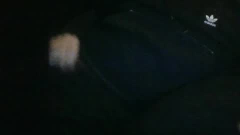 WildeAlex online show from April 20, 3:31 am