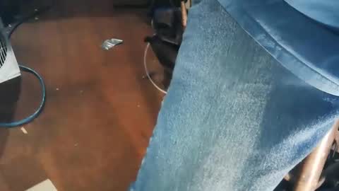 wildman6 online show from November 2, 8:35 pm