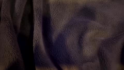 wiley0520 online show from January 15, 9:02 am